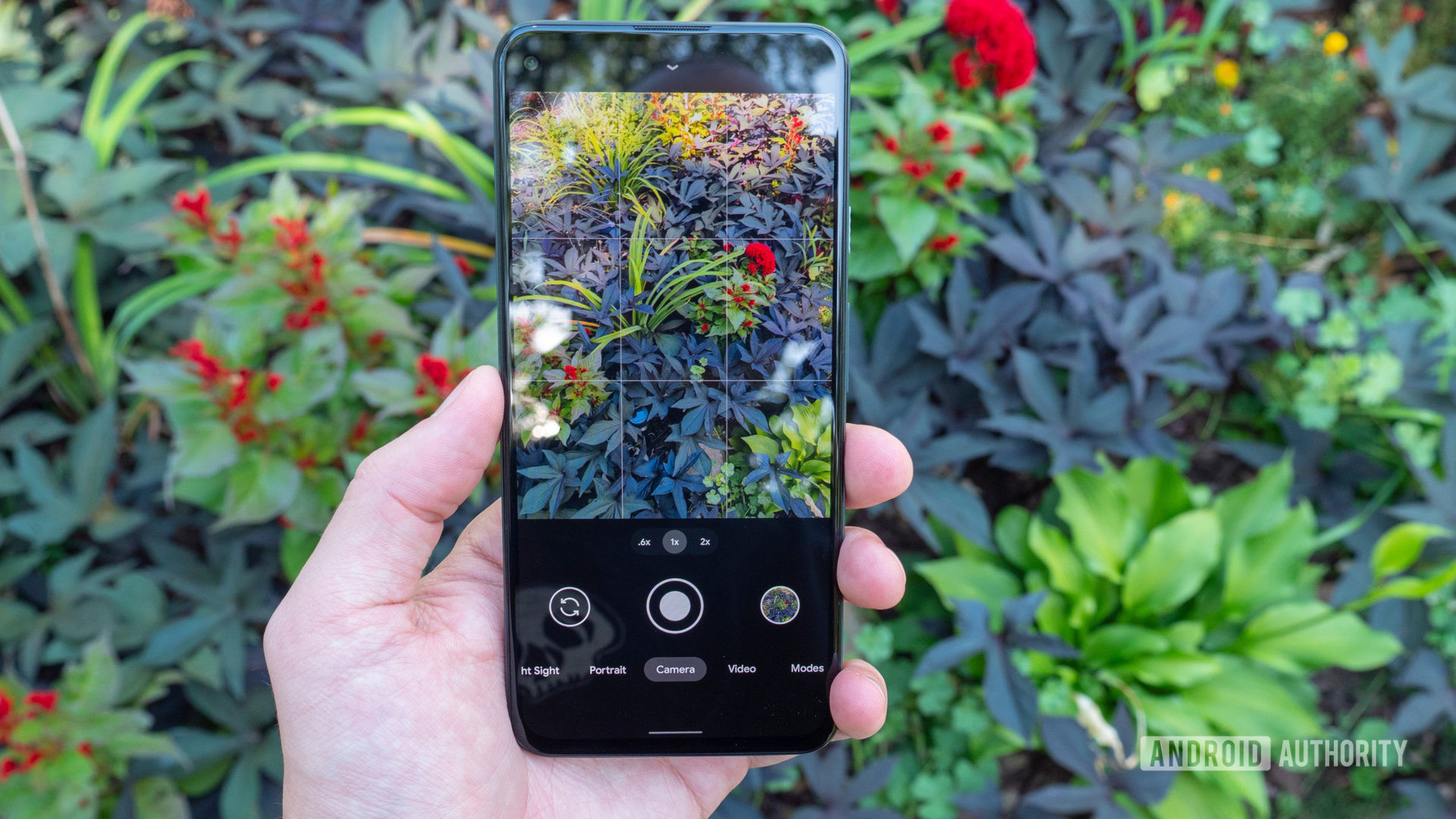 Google Pixel 5A相机应用显示花朵