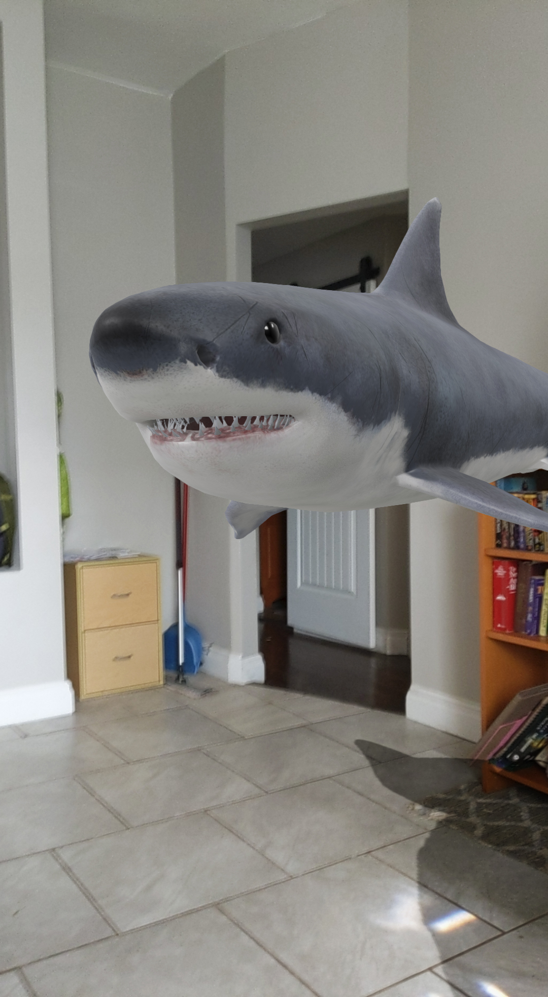房子里的一条鲨鱼。