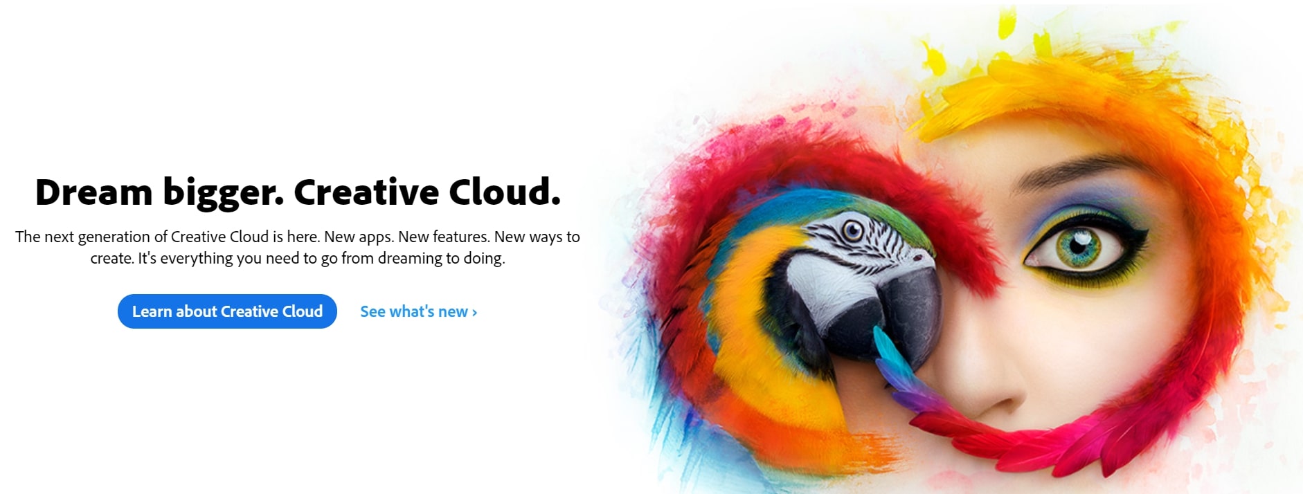 Adobe创意云标题