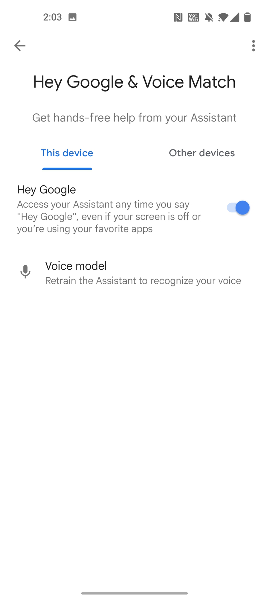 OnePlus 9 Google Assistant嘿Google选项