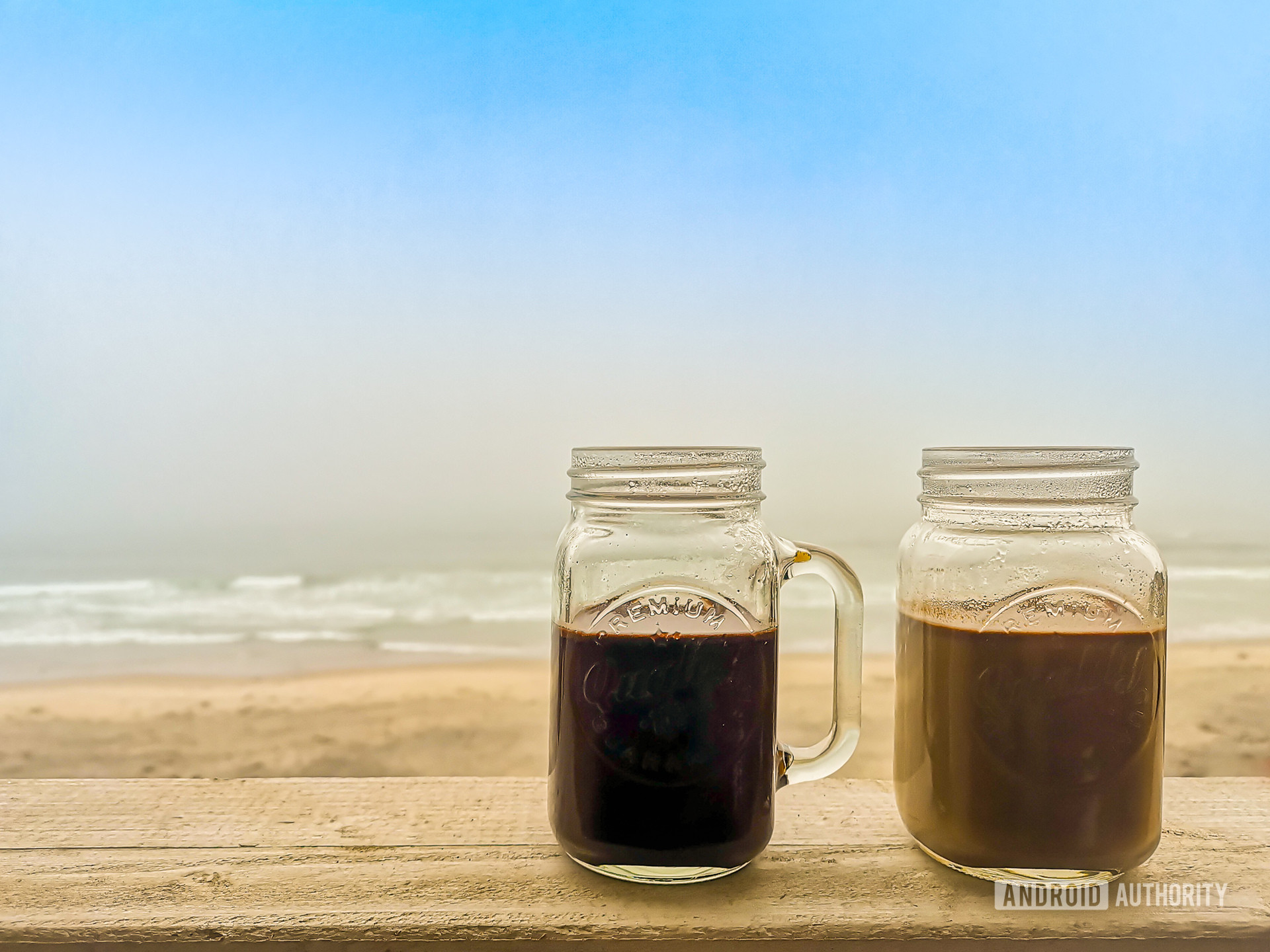 海滩上嬉戏的白平衡咖啡的样本图像
