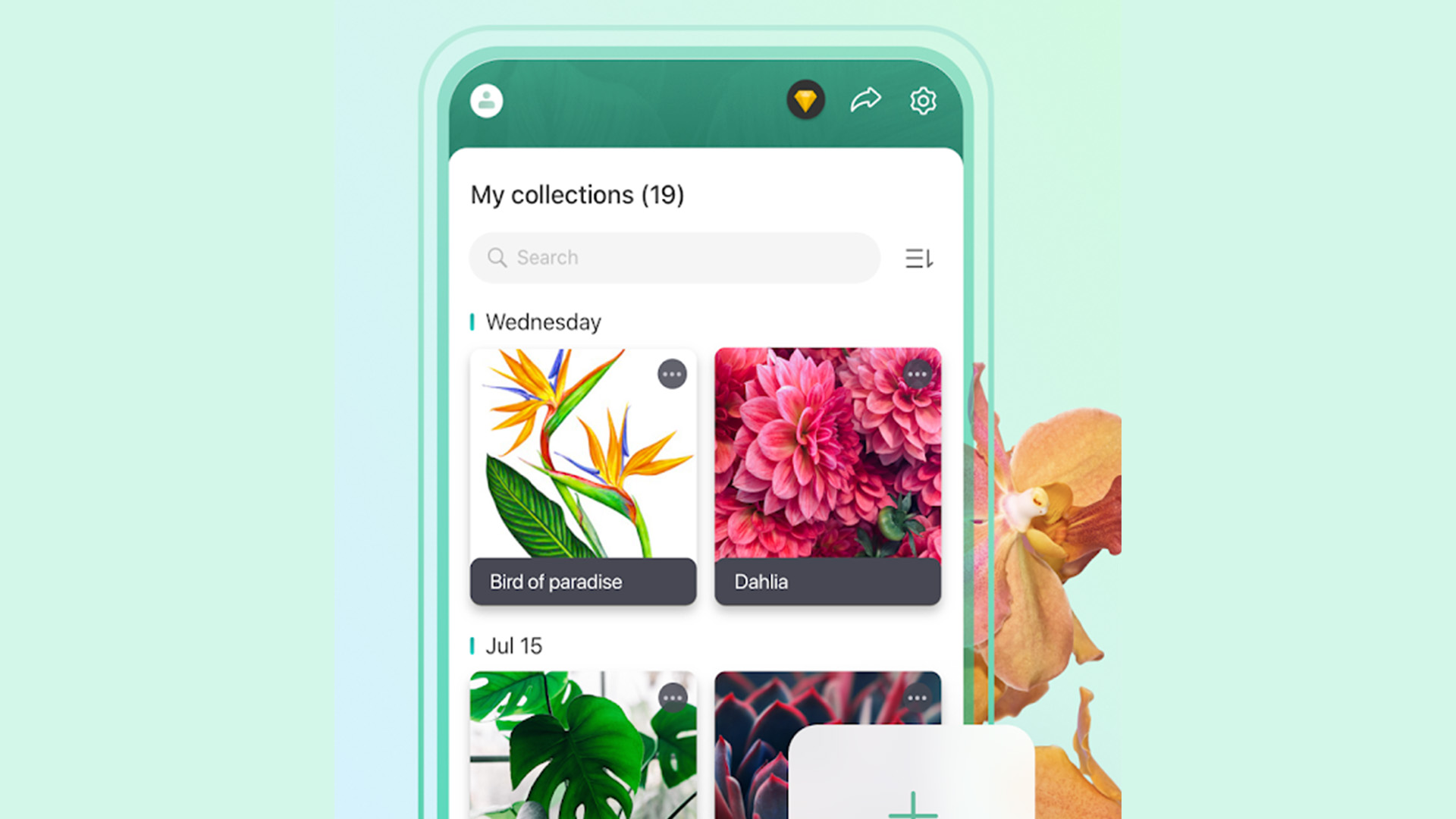 Picturethis最好的花卉应用程序和花卉识别应用程序为Androidbob体育提现