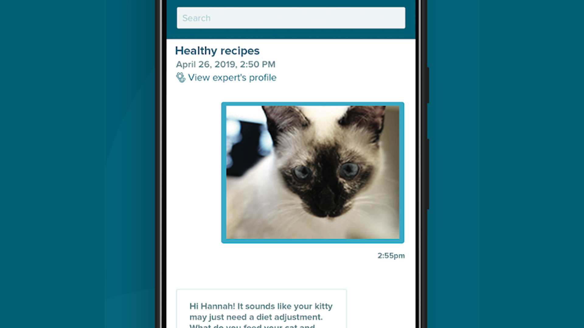 Petcoach最好的猫应用程序适用于Androidbob体育提现