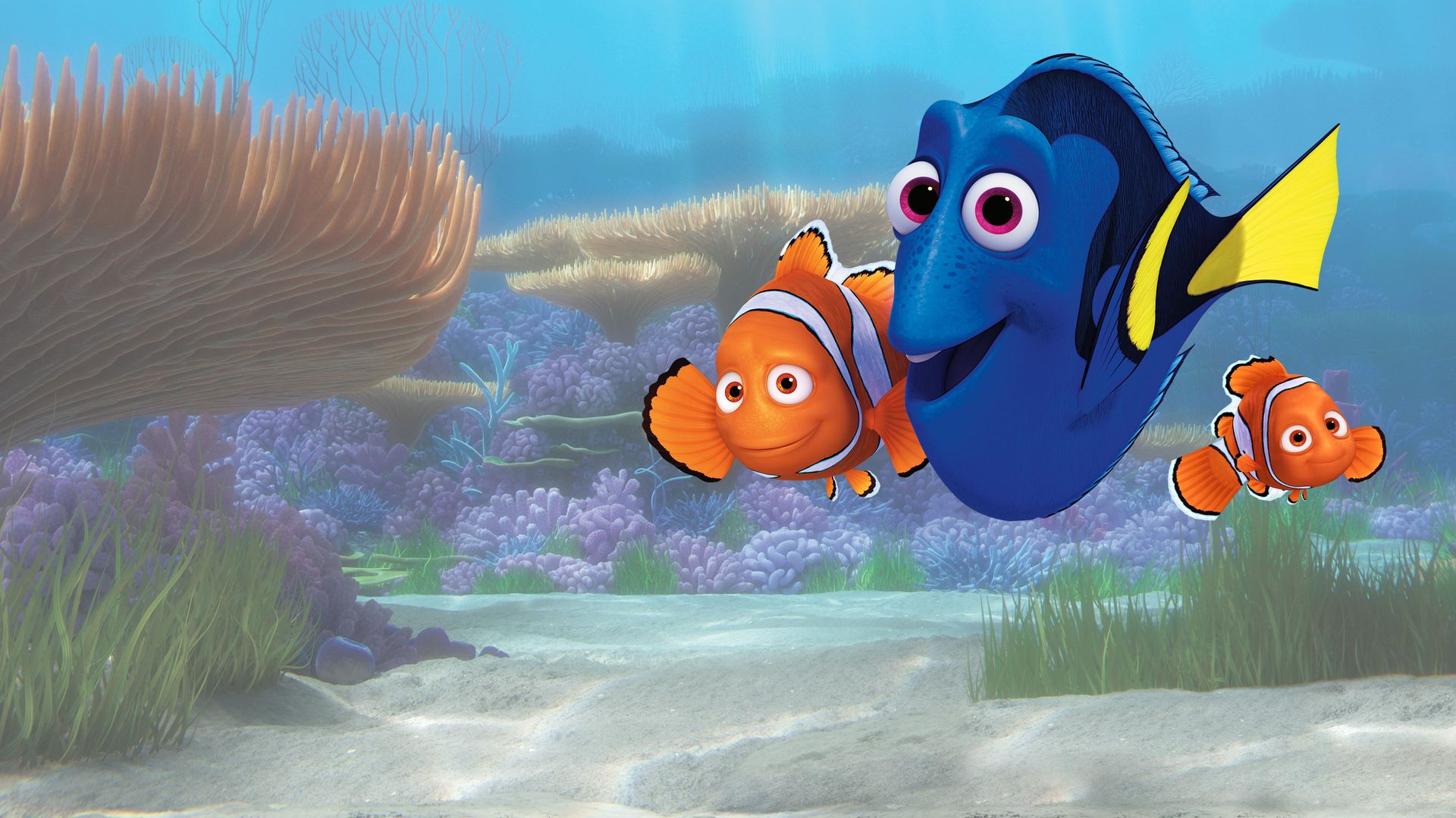 查找Nemo并找到多莉电影