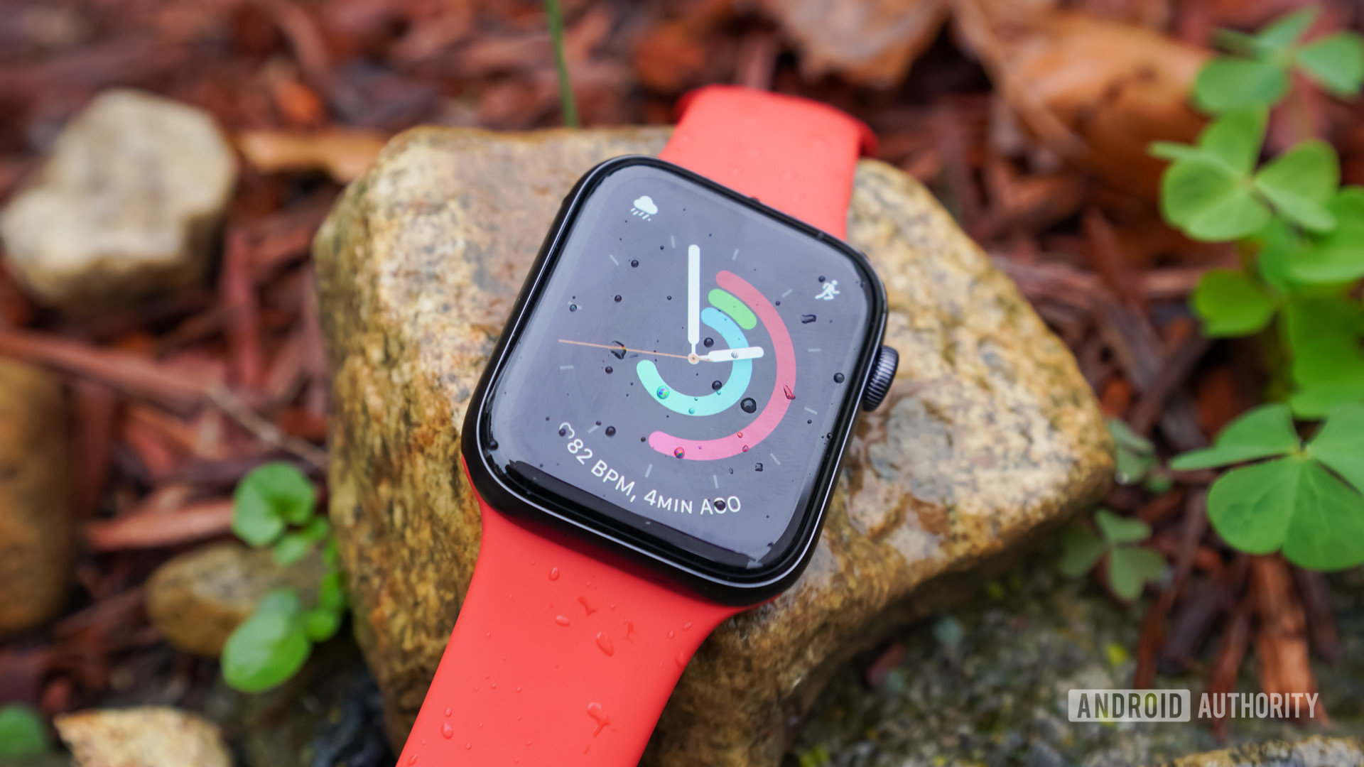 Apple Watch SE显示在湿岩石上的用户活动戒指。