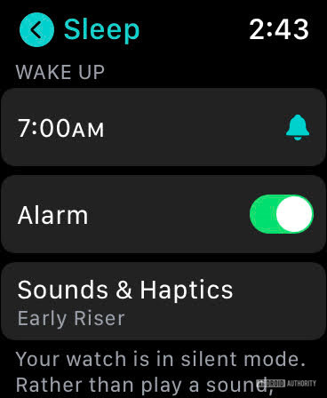 Apple Watch SE睡眠跟踪