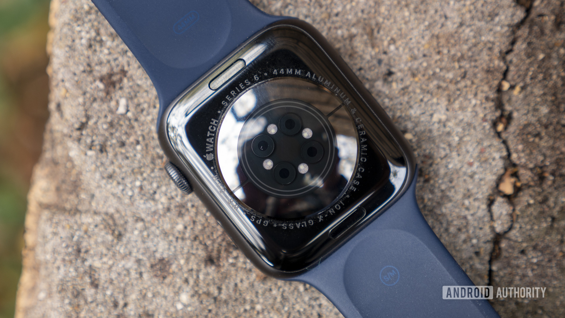Apple Watch Series 6坐在户外的石头上，在设备背面显示传感器。