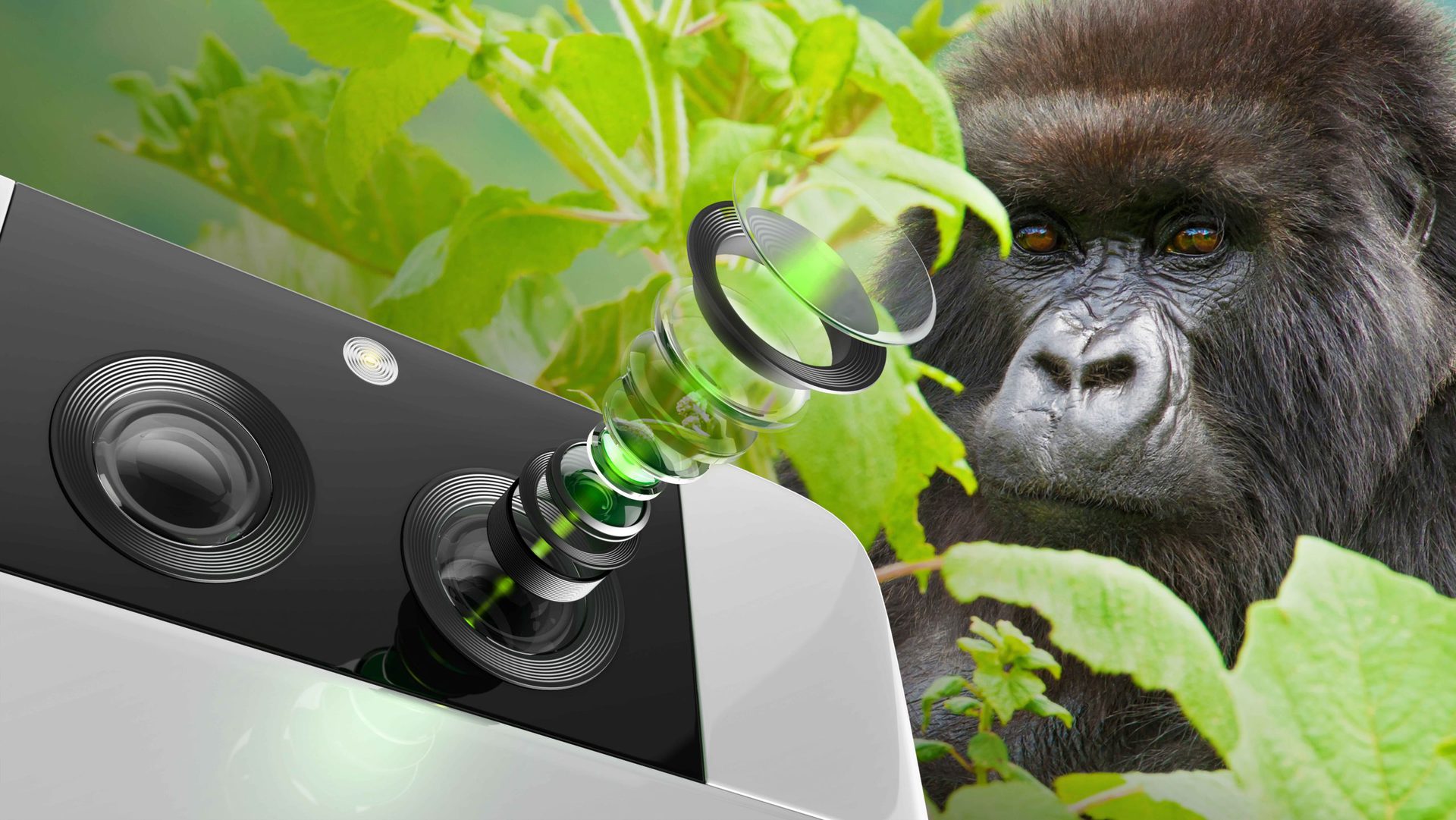康宁大猩猩玻璃DX用于摄像机