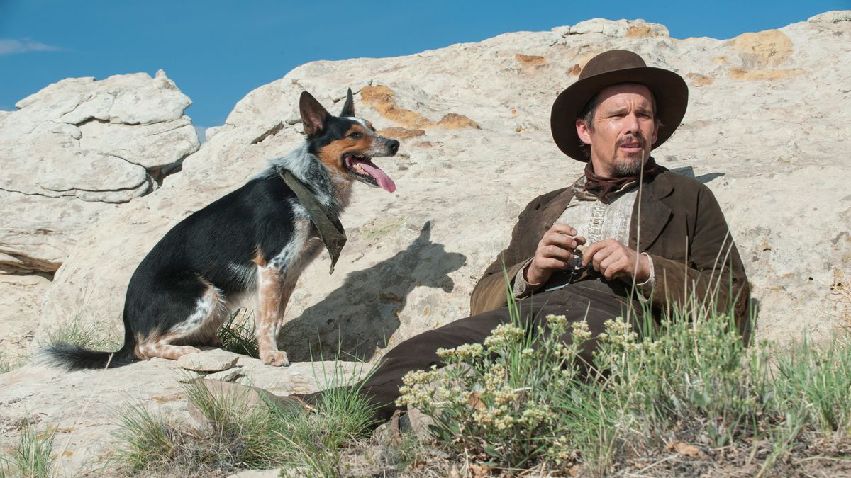 Ethan Hawke坐在一座小山上，他的狗在暴力谷 - 最好的网上