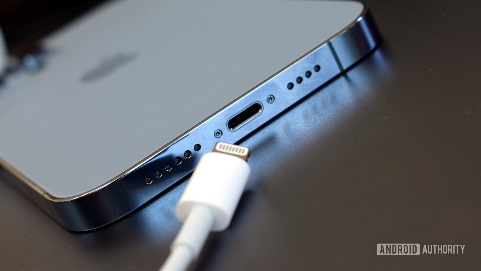 Apple iPhone 13 Pro Max Lightning电缆和端口