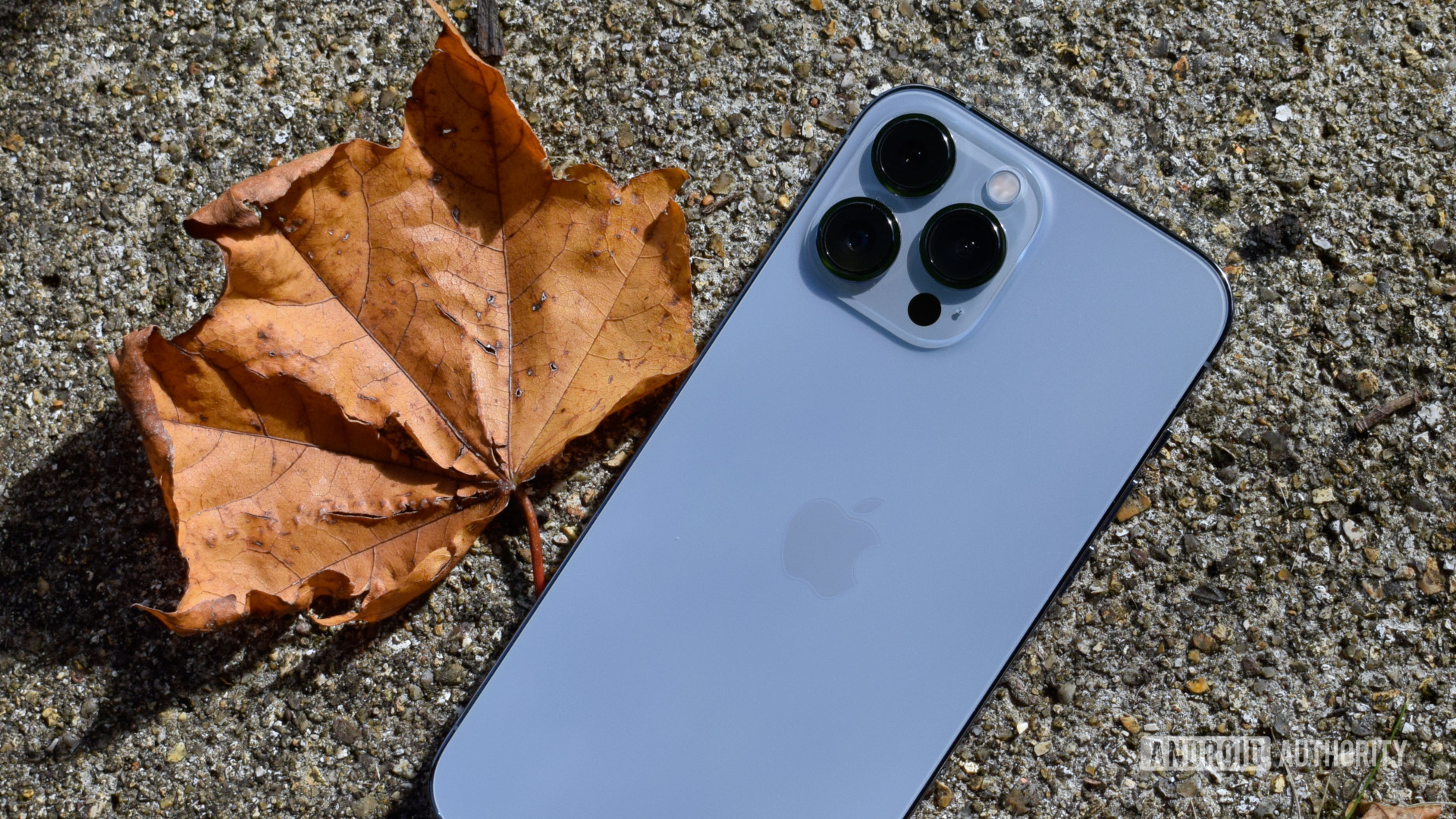 Apple iPhone 13 Pro Max与Leaf返回引用