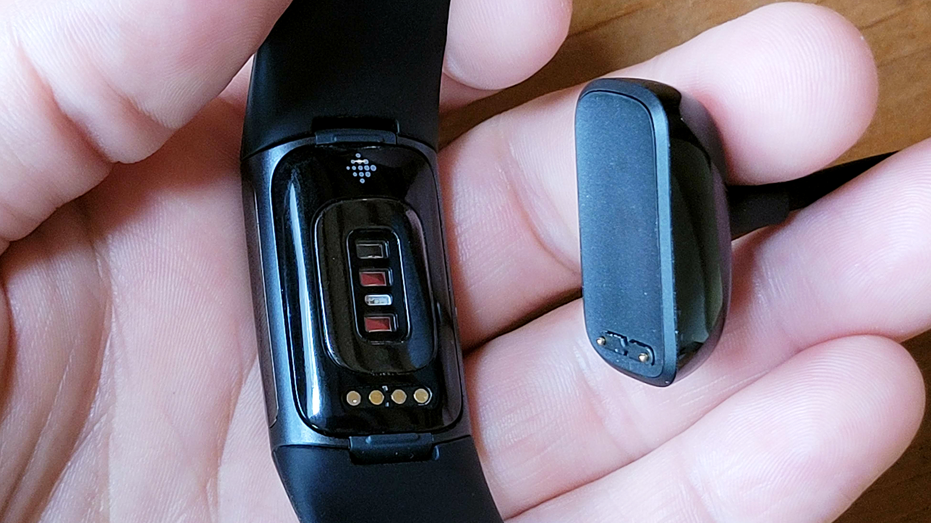 用户持有Fitbit Charm 5面朝下展示设备的后传感器。