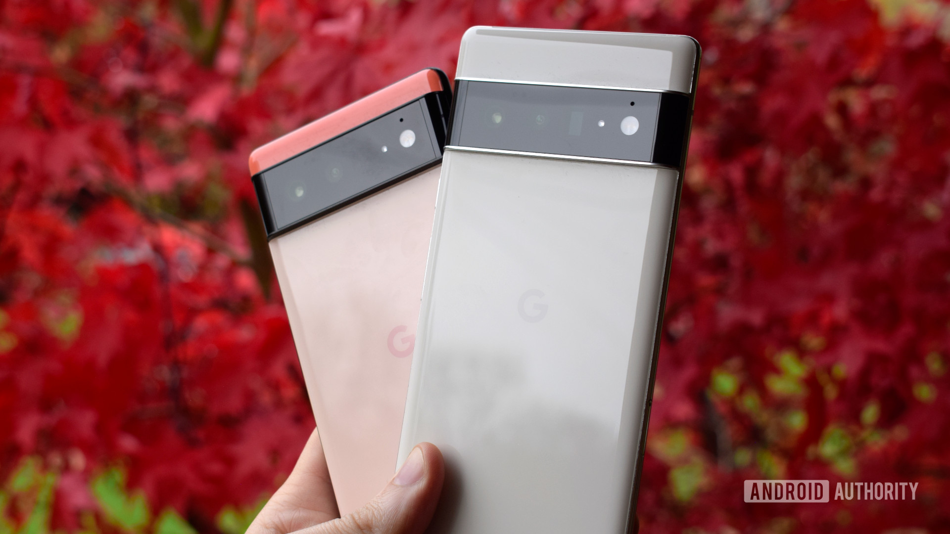 Google Pixel 6和Red Leaf背景上的Pixel 6 Pro