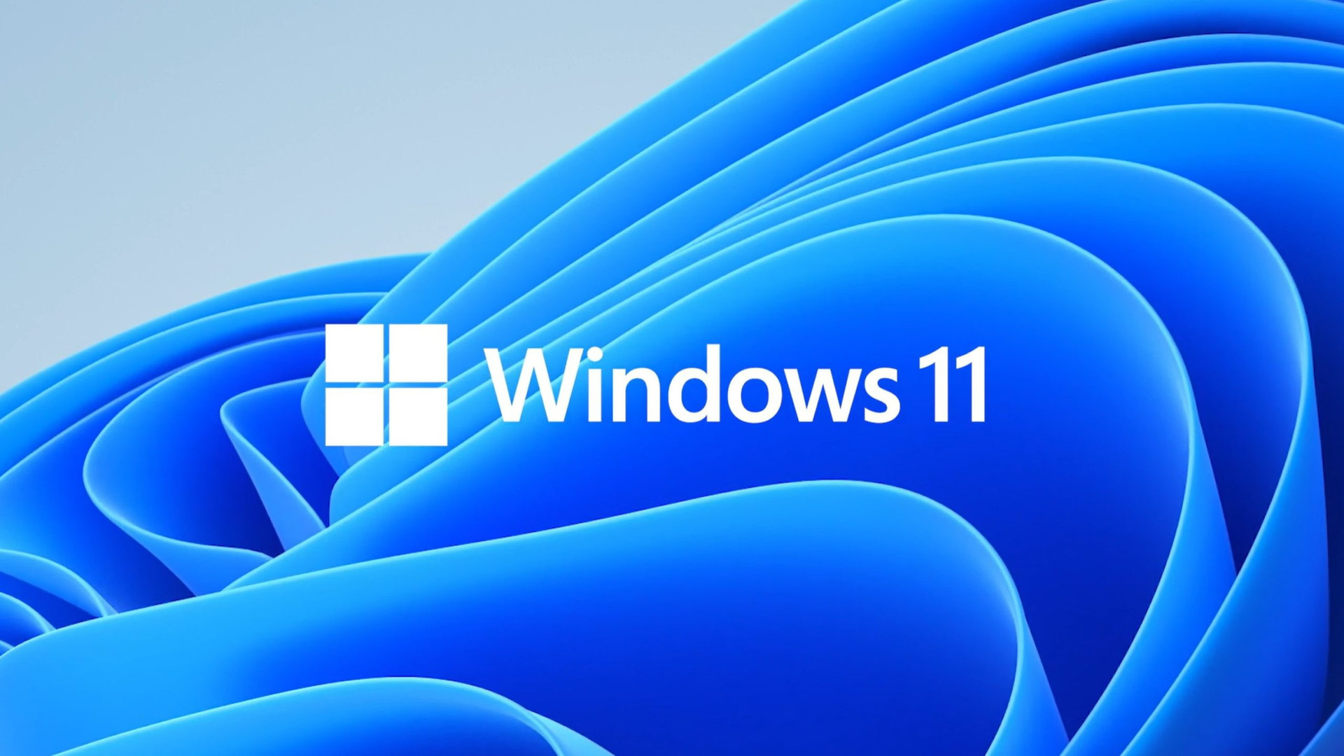 Windows 11徽标图像