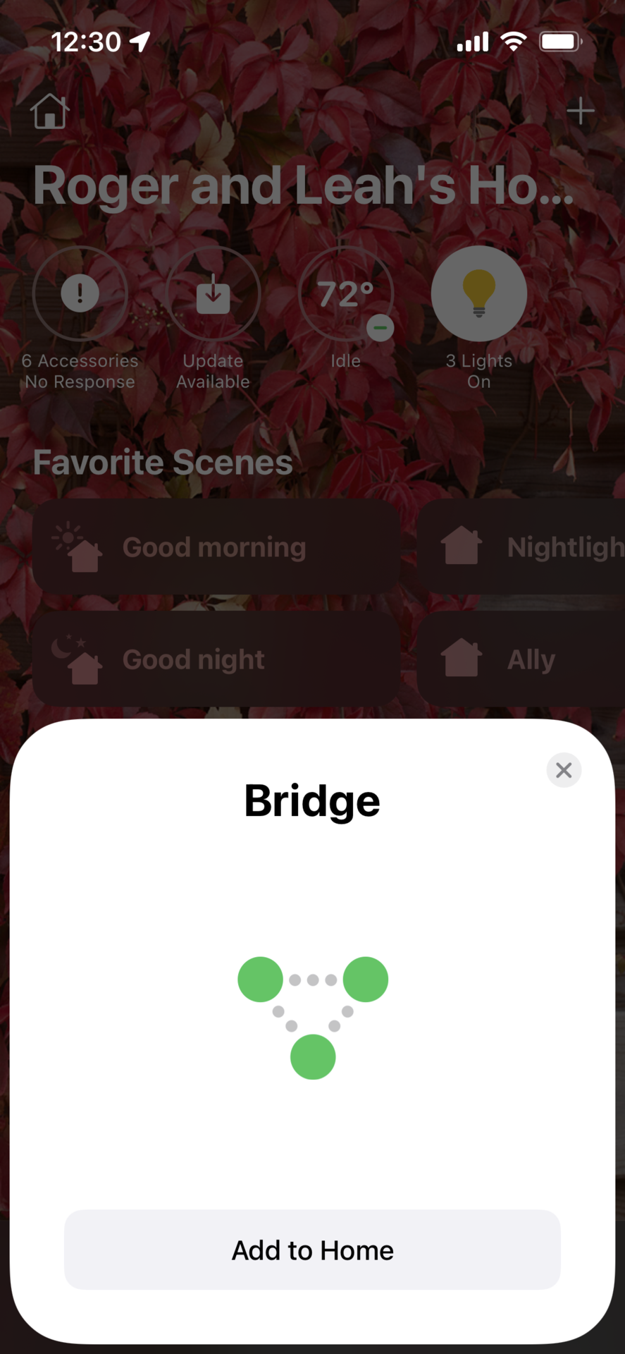 Apple Home Add Bridge HomeKit