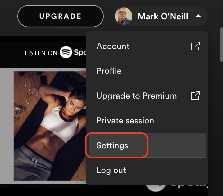 Spotify桌面设置Mac