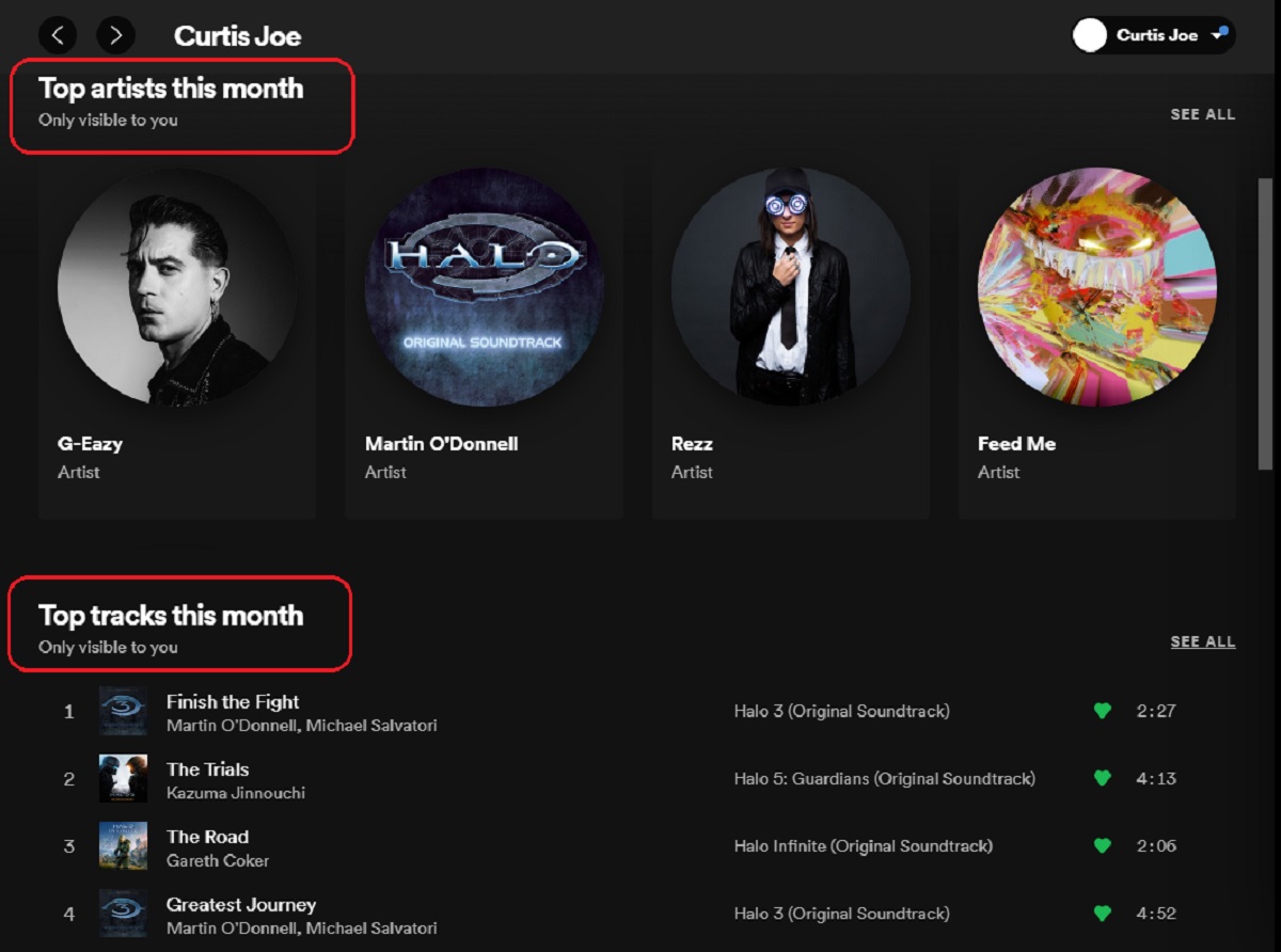 Spotify个人资料的最佳艺术家和本月的顶级曲目