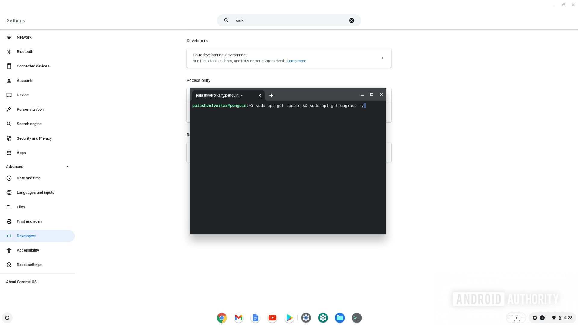 Chromebook Linux终端更新